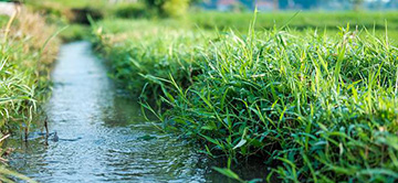 Situation de vigilance pour les usages de l’eau