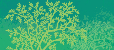 Taille de la végétation débordante