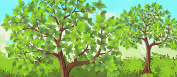 La protection des arbres à Villennes