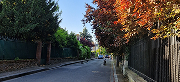 Taille de la végétation débordante